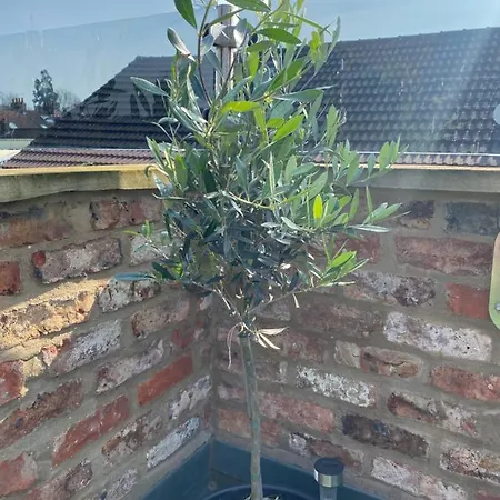 Apartamento The Terrace York